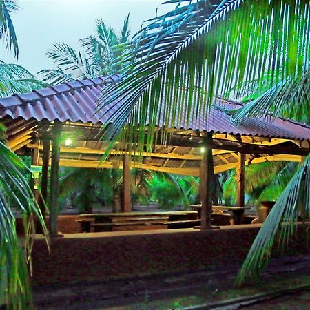 海纳自然度假村 - 生态度假屋和亚拉野生动物园 卡特勒格默 外观 照片