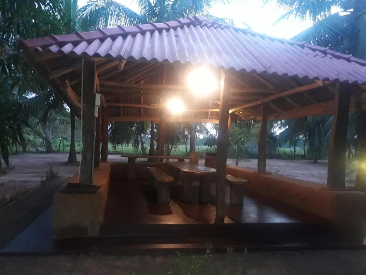 海纳自然度假村 - 生态度假屋和亚拉野生动物园 卡特勒格默 外观 照片